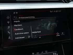 Audi e-tron (2021) thumbnail 51
