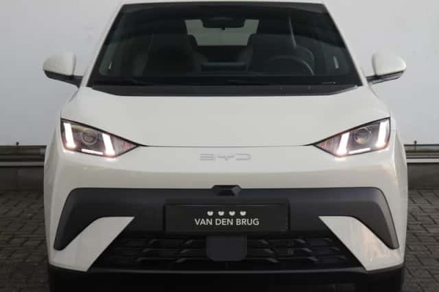 BYD Dolphin (2026) thumbnail 2