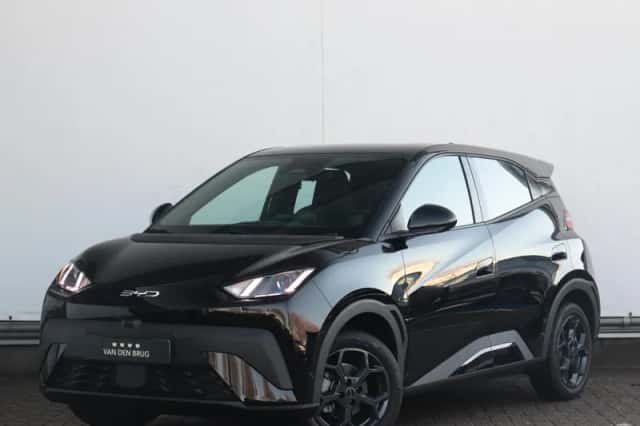 BYD Dolphin (2026) thumbnail 1