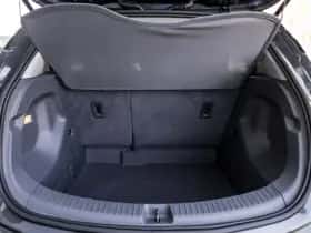 Opel Ampera-e (2020) thumbnail 14