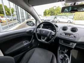 SEAT Ibiza (2015) thumbnail 19