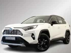 Toyota RAV4 (2019)