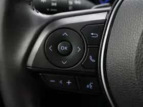 Toyota RAV4 (2019) thumbnail 22