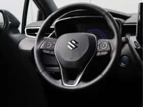 Suzuki Swace (2021) thumbnail 18