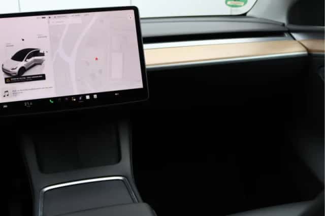 Tesla Model Y (2022) thumbnail 17