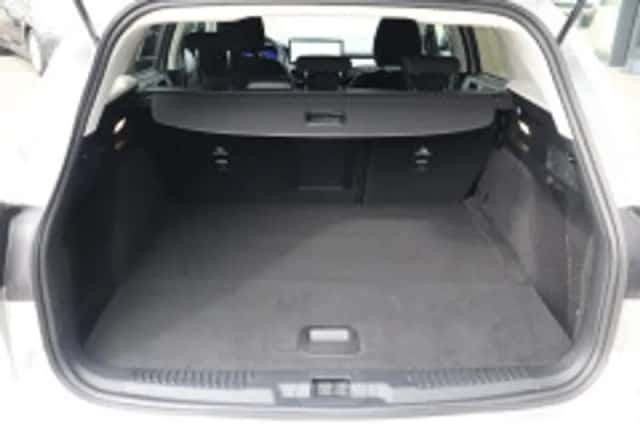 Ford Focus (2024) thumbnail 5
