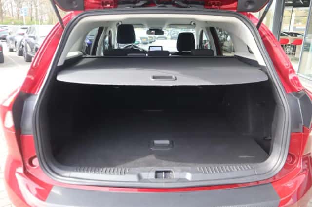 Ford Focus (2019) thumbnail 11