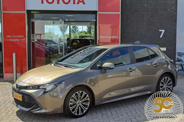 Toyota Corolla (2019) thumbnail 1