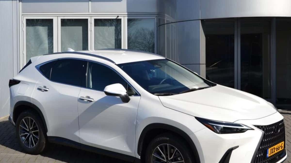 Lexus NX (2025) — foto 1