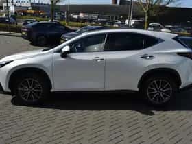 Lexus NX (2025) thumbnail 12