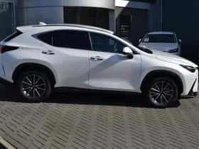 Lexus NX (2025) thumbnail 8
