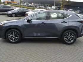 Lexus NX (2023) thumbnail 12