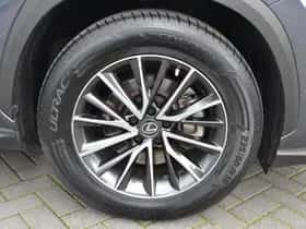 Lexus NX (2023) thumbnail 17