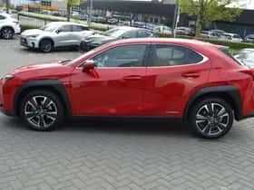 Lexus UX (2020) thumbnail 12
