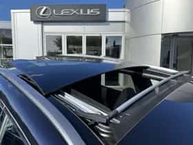 Lexus RX (2026) thumbnail 16