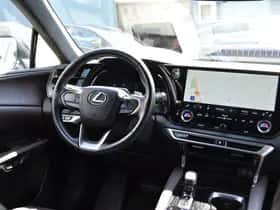 Lexus RX (2024) thumbnail 19