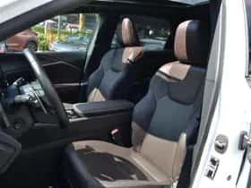 Lexus RX (2024) thumbnail 20