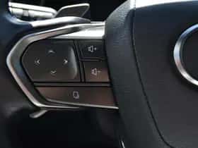 Lexus RX (2024) thumbnail 32