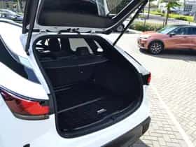 Lexus RX (2024) thumbnail 47