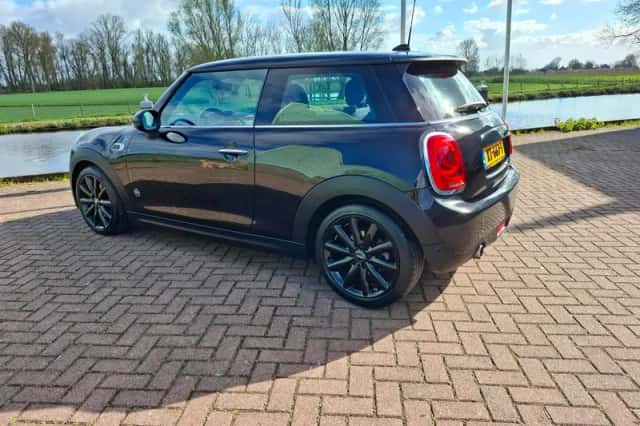 MINI  (2018) thumbnail 3