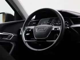 Audi e-tron thumbnail 15