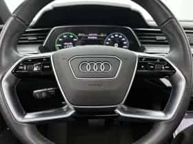 Audi e-tron thumbnail 19