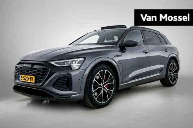 Audi Q8 e-tron (2023) thumbnail 1