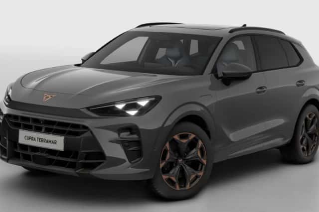 CUPRA Terramar (2025) thumbnail 2
