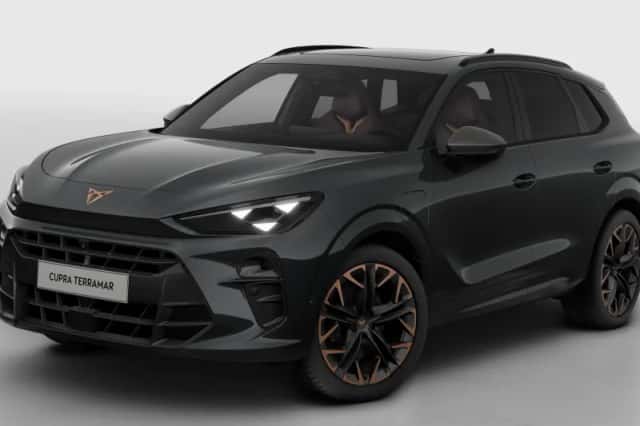 CUPRA Terramar (2026) thumbnail 2