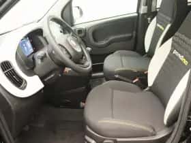 Fiat Panda thumbnail 12