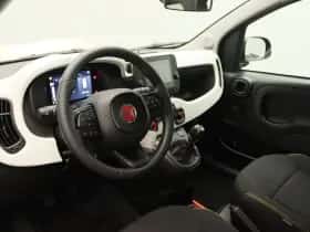 Fiat Panda thumbnail 19