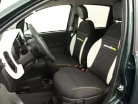 Fiat Panda thumbnail 2