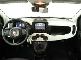 Fiat Panda thumbnail 3