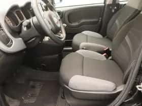 Fiat Panda (2022) thumbnail 12