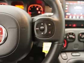 Fiat Panda (2022) thumbnail 17