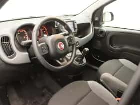Fiat Panda (2022) thumbnail 19