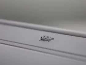 Jeep Avenger (2023) thumbnail 34