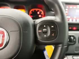 Fiat Panda thumbnail 17