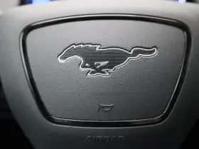 Ford Mustang Mach-E thumbnail 35