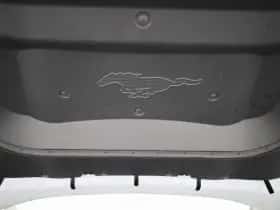 Ford Mustang Mach-E thumbnail 43