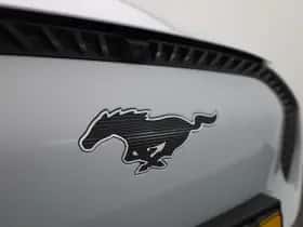 Ford Mustang Mach-E thumbnail 44
