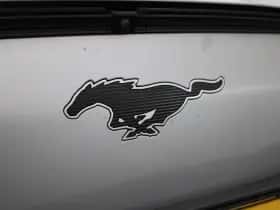 Ford Mustang Mach-E (2021) thumbnail 45