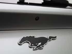Ford Mustang Mach-E (2021) thumbnail 56