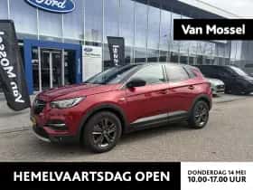 Opel Grandland X (2021)
