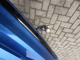 Ford Kuga thumbnail 16