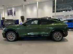 Ford Mustang Mach-E thumbnail 8