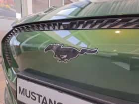 Ford Mustang Mach-E thumbnail 9
