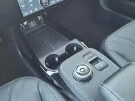 Ford Mustang Mach-E thumbnail 21