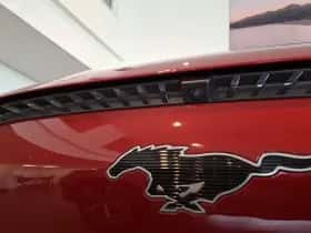 Ford Mustang Mach-E thumbnail 10