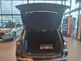 Ford Kuga thumbnail 13